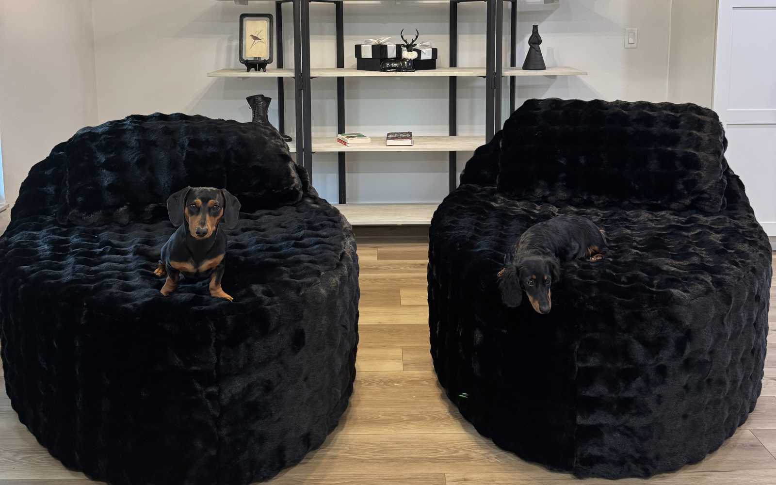 Living room flooring installation in Lakeland Florida by Galloway Carpet One Floor & Home